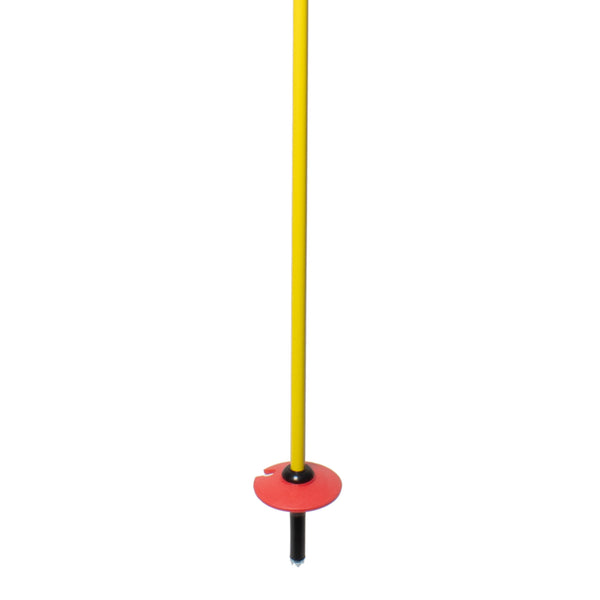 Pure Carbon Ski Poles