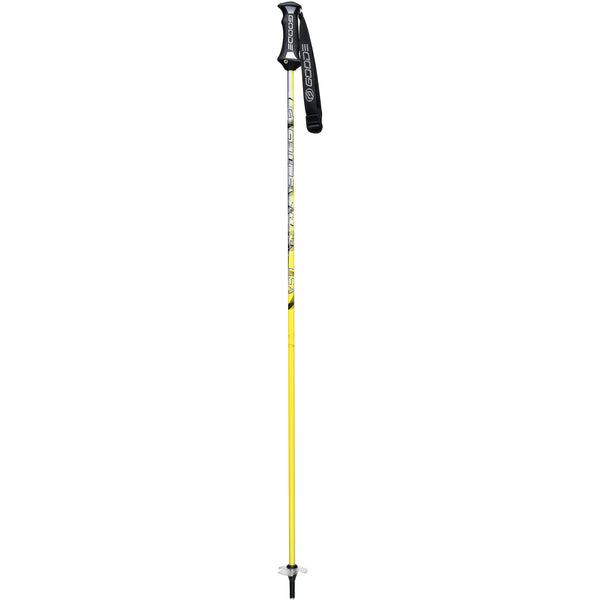 SuperMax Plus Ski Poles