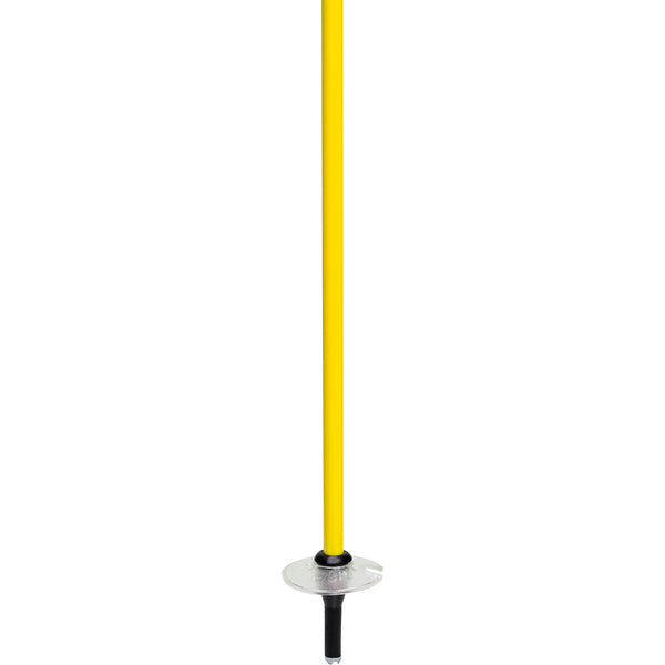 SuperMax Plus Ski Poles