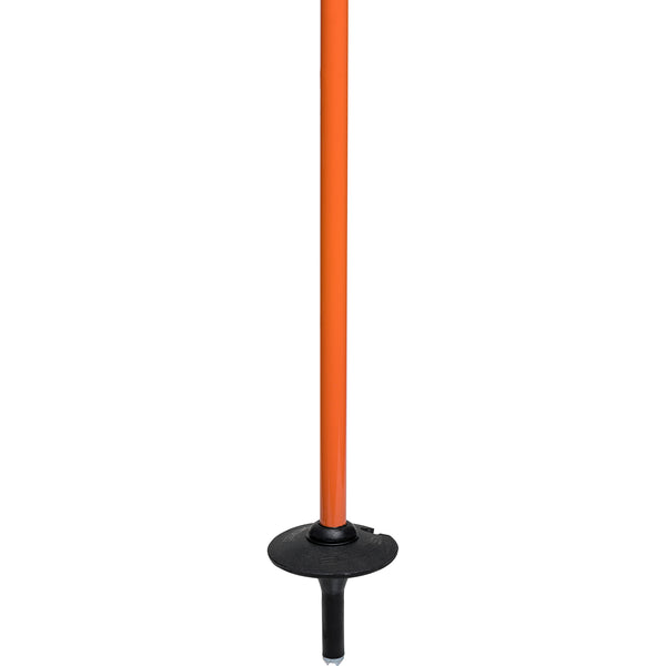 Carbon Neutral Ski Poles
