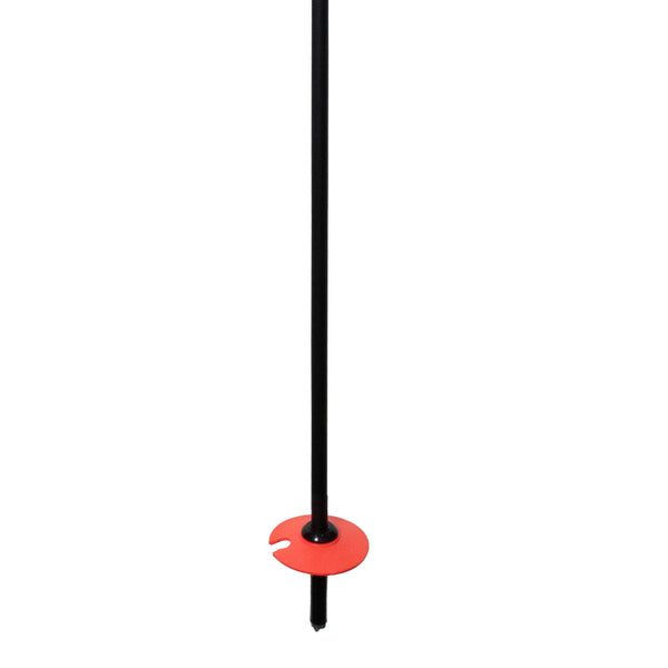 Pure Carbon Ski Poles