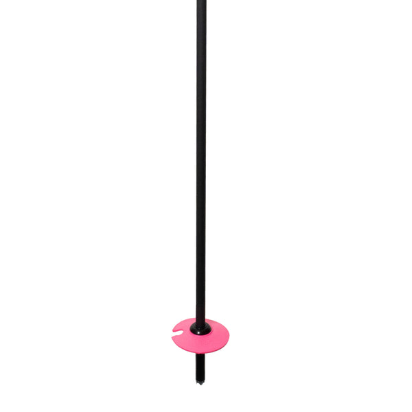 Pure Carbon Ski Poles