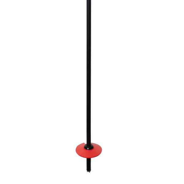 Pure Carbon Ski Poles